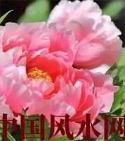 兰州预示你财运上升，姻缘可成的梦境，快来看看吧！