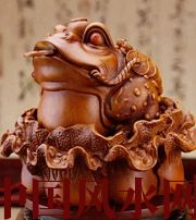 兰州解读金蟾最合适的位置，这样摆放更招财！